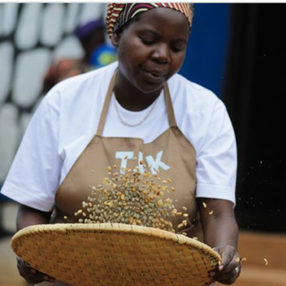 africa-changing-the-gender-bias-in-agriculture