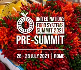 united-nations-food-systems-summit-2021-pre-summit